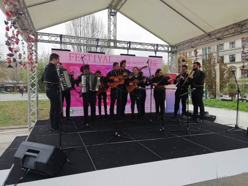 Festival japanske trešnje 2019